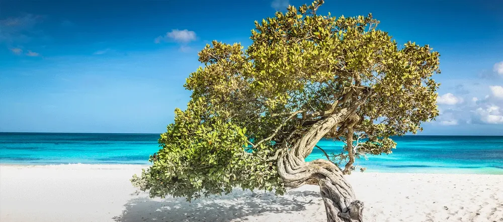 Eagle Beach, Aruba